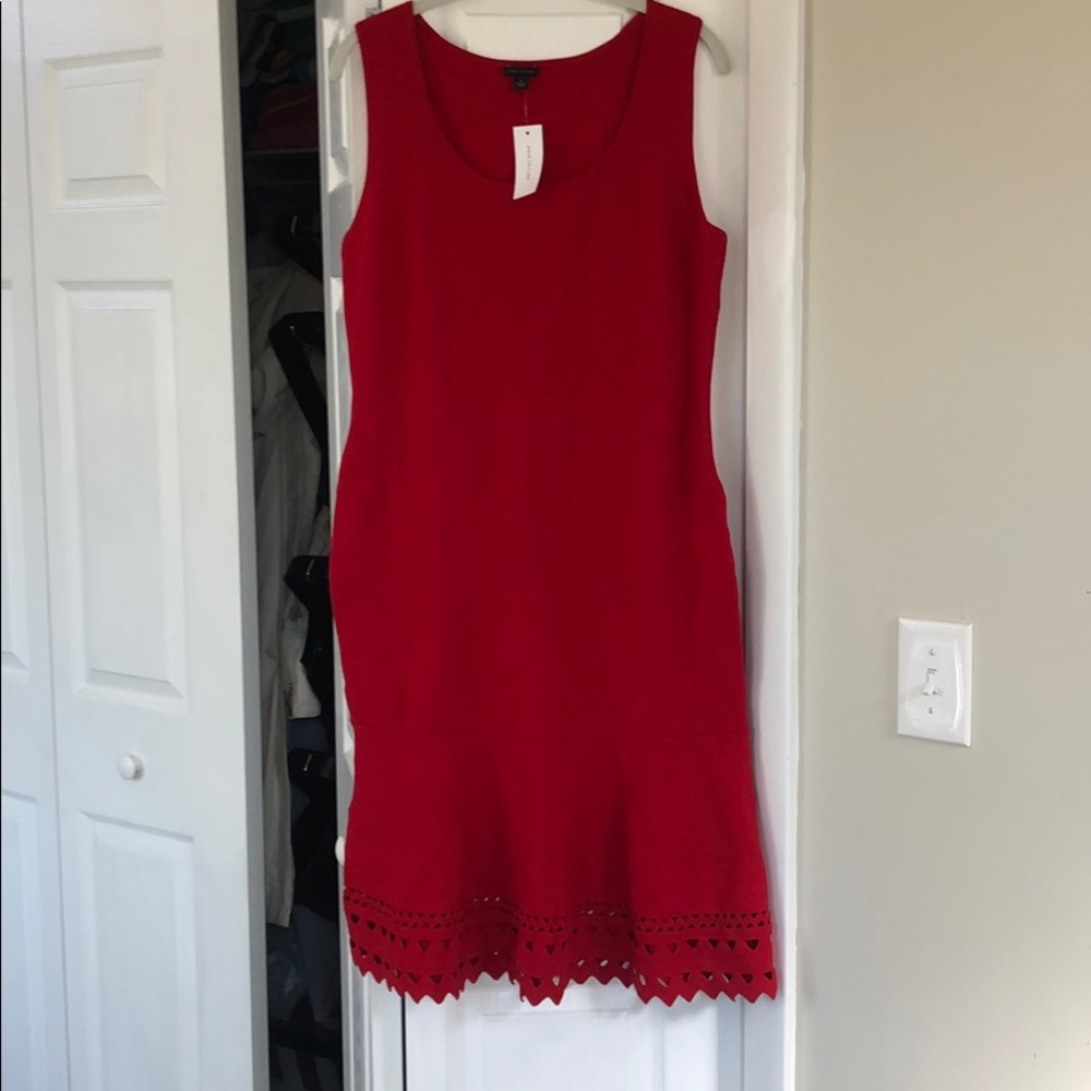 Ann Taylor Dress👗